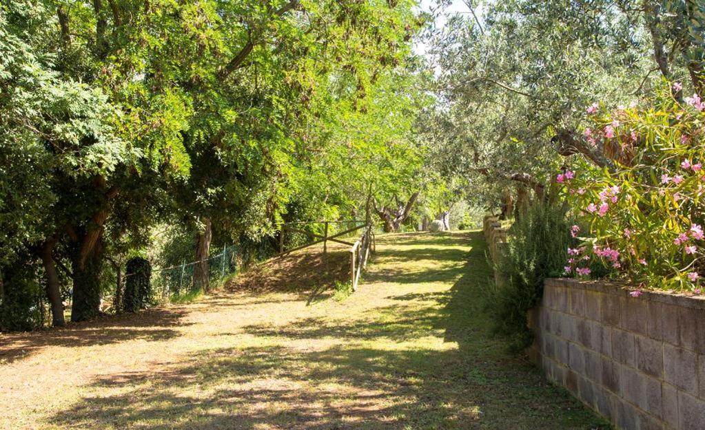 Divacamp Glamping Resort Campiglia Marittima Exterior photo
